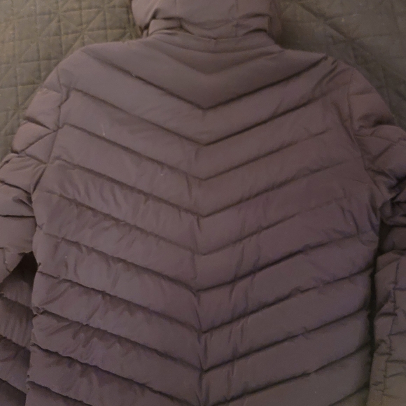 Burntlime Feather Winter Jacket - Picture 4 of 6